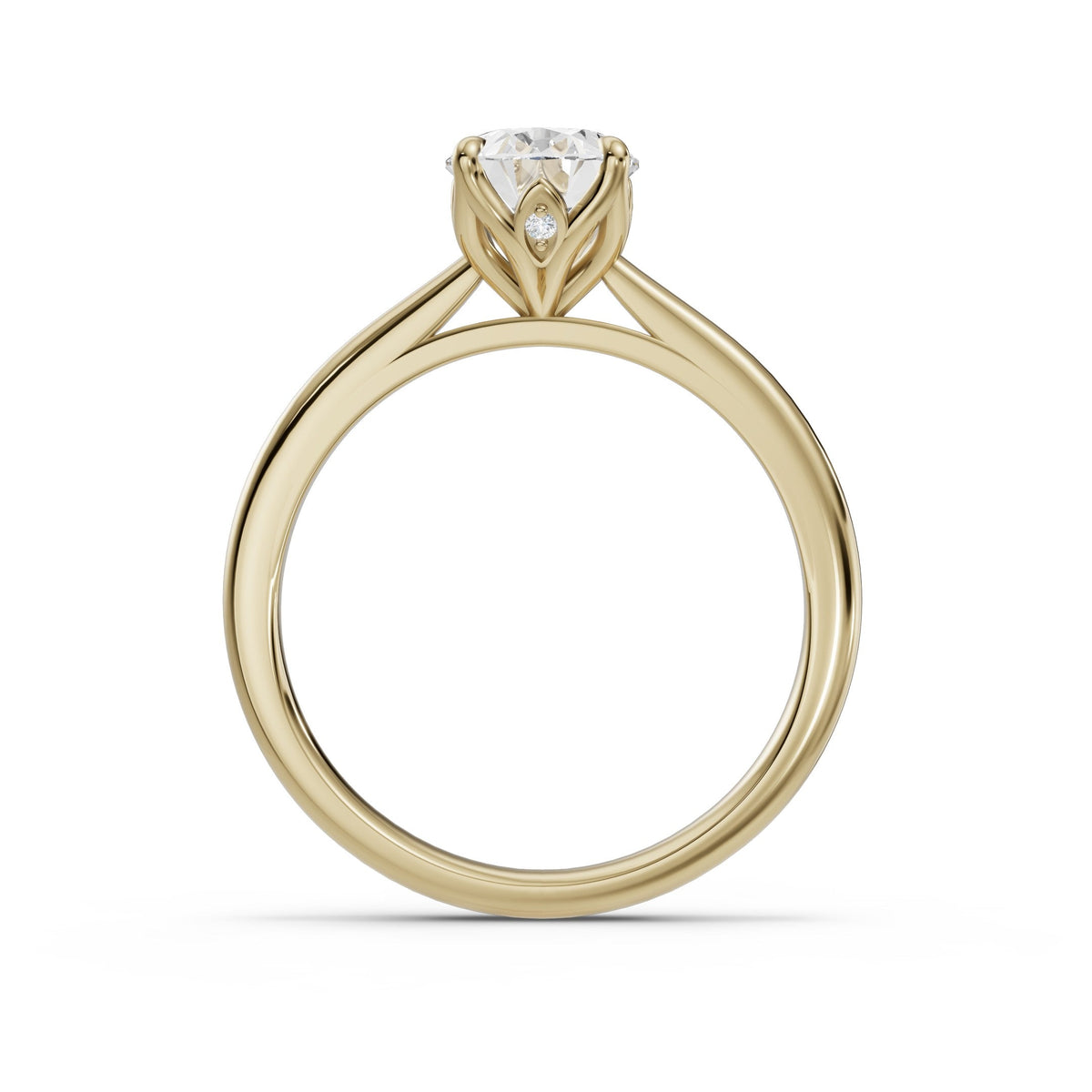 Flor de Oro - perfil
