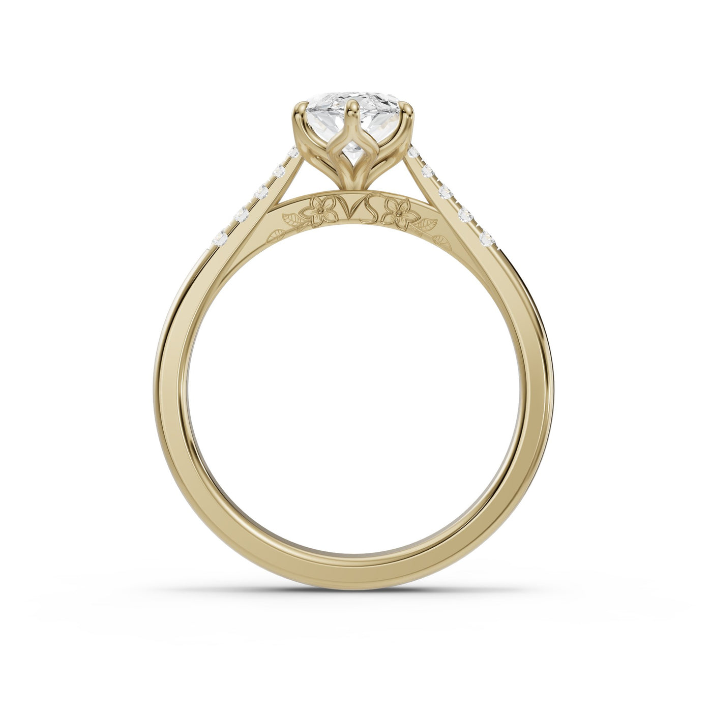 Secreto Marquise - perfil