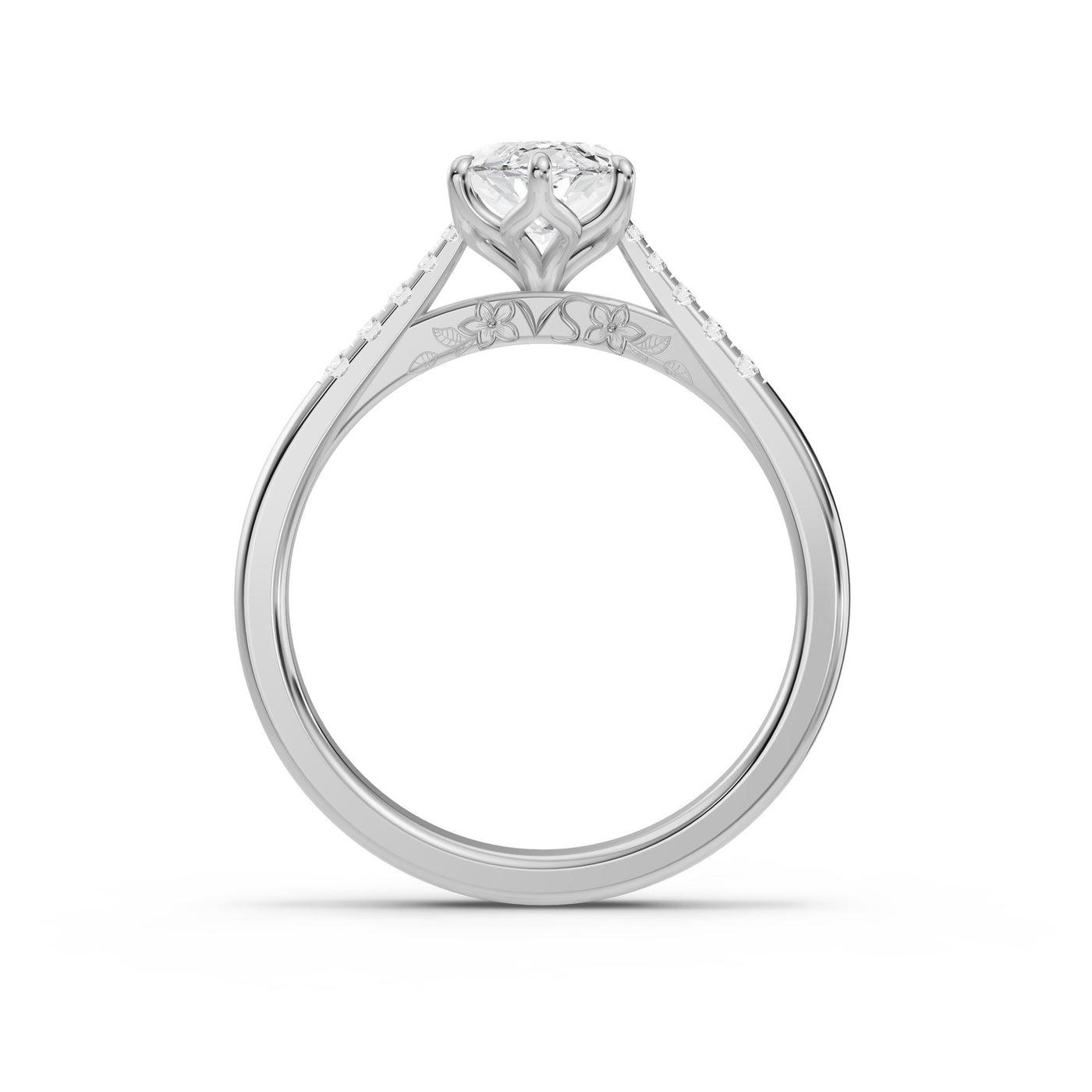 Secreto Marquise - perfil