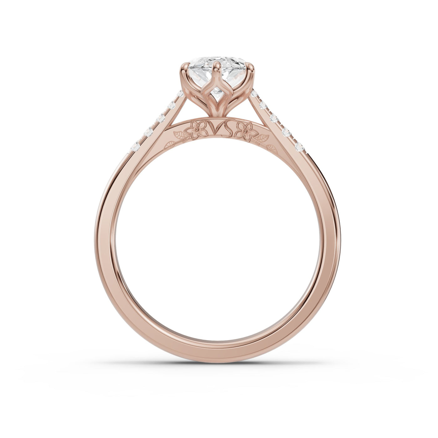 Secreto Marquise - perfil